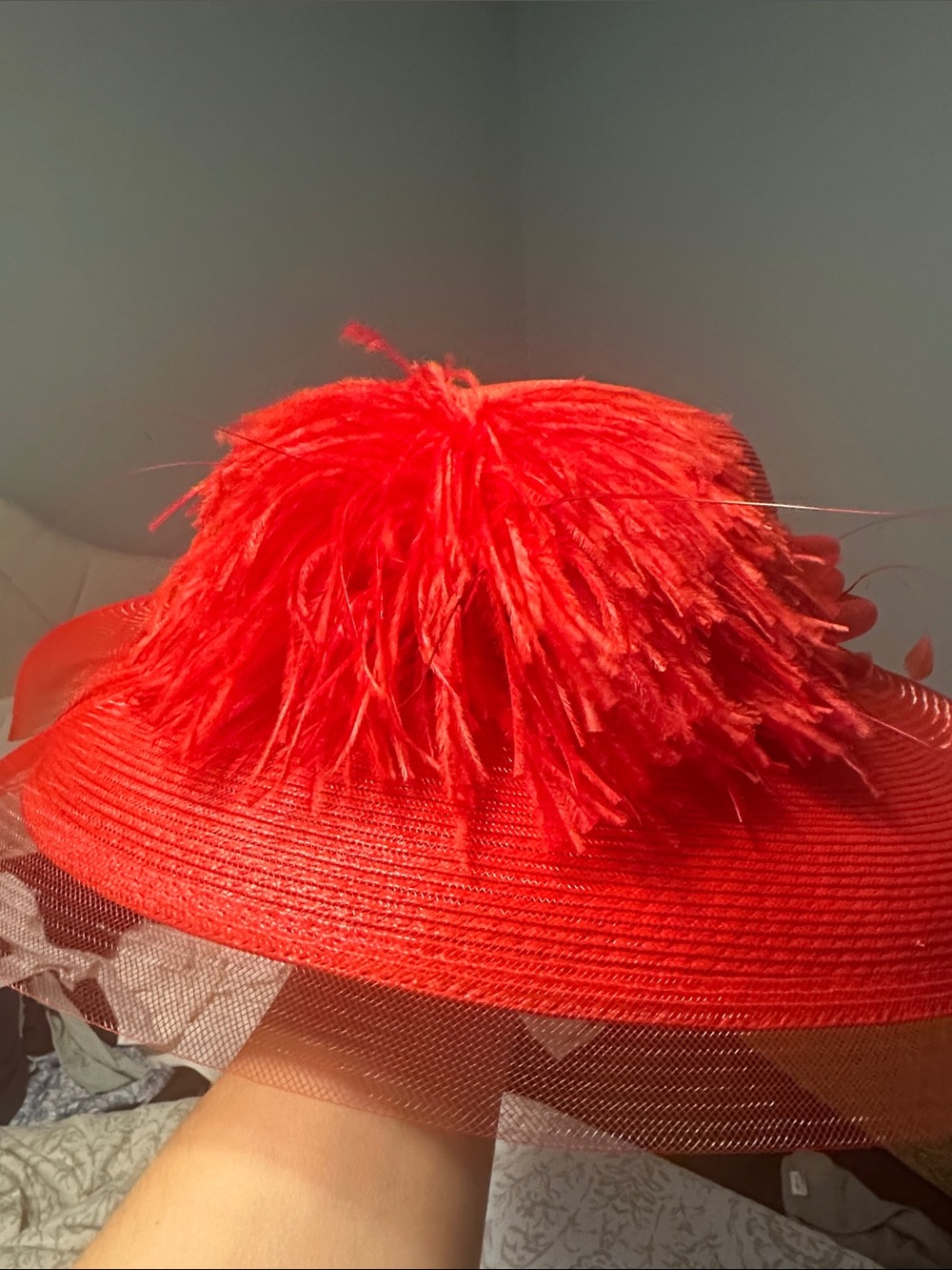 Red Feather Trim Women's Hat